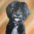 Realistic Acrylic Pet Paintings | Custom Artist - Nationwide