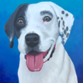 Realistic Pet Painting in Acrylic - Nationwide