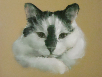 Pastel painting 10 x 8