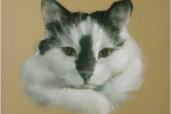 Request Quote: Best Friend Pet Portraits - Muskegon, MI