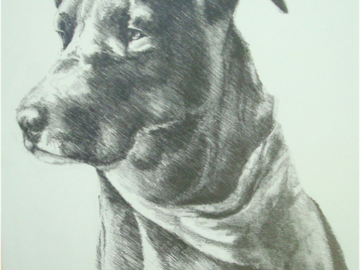 Graphite drawing 16 x 20