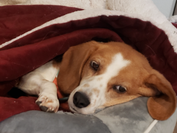 Time for a Nap