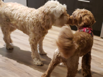 Playtime with a Friend!