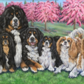 Mechelle Roskiewicz - Pet Portrait Artist - Nationwide