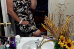 Request Quote: Williams Pet Sitting Services - Kingsport, TN