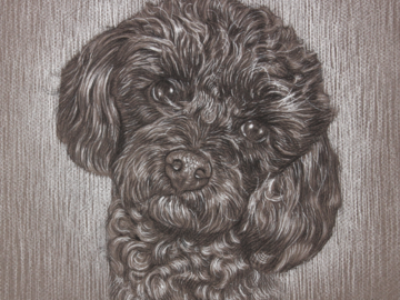 "Mawkwa" 10x10" Charcoal