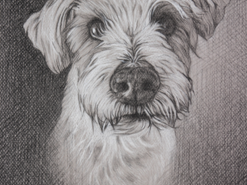 "Elsa" 9x12" Charcoal
