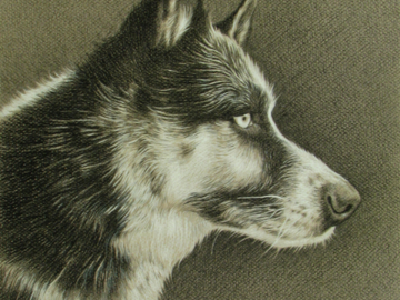 "Coda" 16x20" Charcoal
