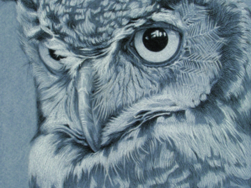 Great Horned Owl 8x10" Pastel