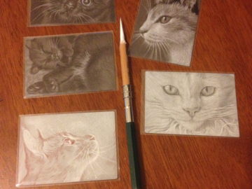 2.5"x3.5" cards in charcoal