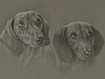 Dachshunds 9x12" Charcoal