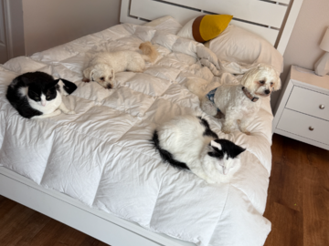 The gang!