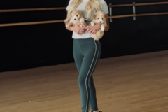 Request Quote: Bay Area Flight Puppy Nanny  - Nationwide