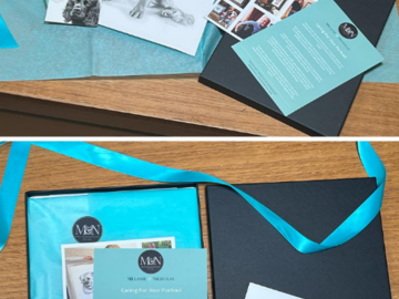 pencil drawing of a spaniel with gift packaging 