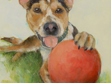 Pet Portrait of mixed breed dog