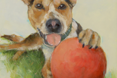 Request Quote: Custom Fine Art Pet Portraits  - Nationwide