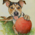 Custom Fine Art Pet Portraits  - Nationwide