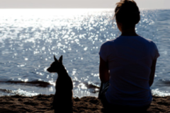 Request Quote: LCSW Psychotherapist - Pet Loss Grief Counselor - Nationwide