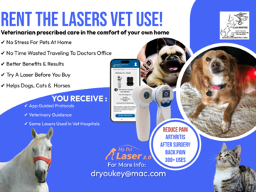 rent lasers
