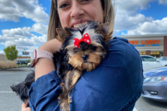 Request Quote: Deanna Cataldi - Professional Flight Nanny - Nationwide