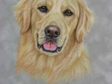Pet Portrait Artist California