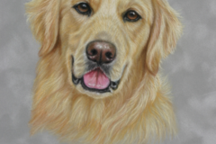 Request Quote: Livermore California Custom Animal Portraits - Nationwide