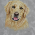 Livermore California Custom Animal Portraits - Nationwide