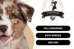 Request Quote: Chéster Mobile Pets Grooming - West Harrison, NY