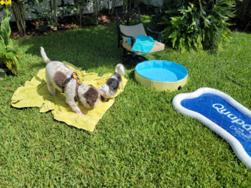 Summer Day Care Fun