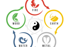 Request Quote: Certified Holistic Pet Health Coach and Nutritionist - Nationwide