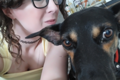 Request Quote: Licensed Pet Massage and K9 Practitioner  - Harrisville, OH