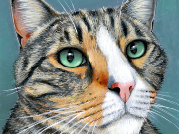 Tabby cat pet portrait on canvas
