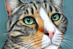 Request Quote: Colorful Custom Pet Portraits from Your Photos - Nationwide