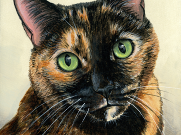 Tortoiseshell Cat pet portrait on canvas