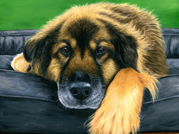 Pet portrait of a mixed breed dog on canvas