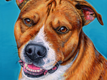 Painting of a pitbull
