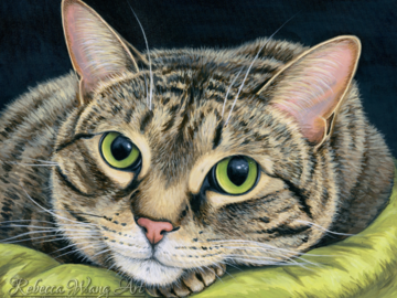 Pet portrait painting of a tabby cat