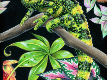 Pet portrait painting of a Meller's Chamleleon