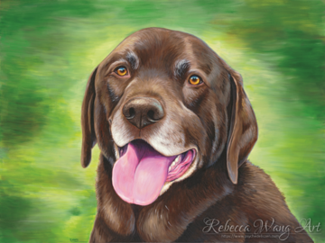 Pet portrait of a Chocolate Labrador Retriever Dog
