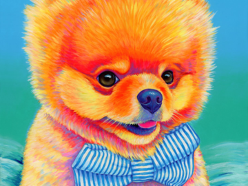 Colorful portrait of a Pomeranian dog