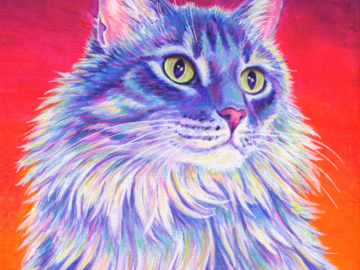 Colorful portrait of a longhaired tabby cat