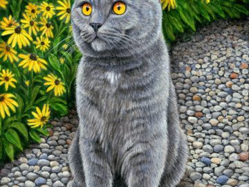 British Shorthair pet portrait painting
