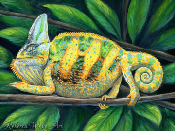 Painting of a Veiled Chameleon
