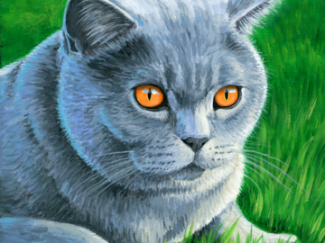 Painting of a British Shorthair cat