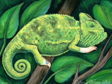 Painting of a Veiled Chameleon