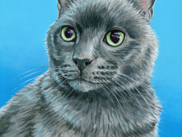Portrait of a grey cat