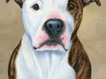 Painting of a pit bull terrier dog