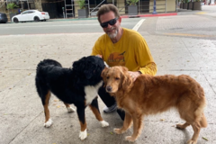 Request Quote: Walking your dog fills my soul - Dog Walking Service - San Diego, CA