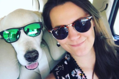 Request Quote: Marlee and Me Pet Photography - Buffalo, NY
