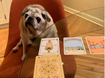 Pet Psychic Maryland